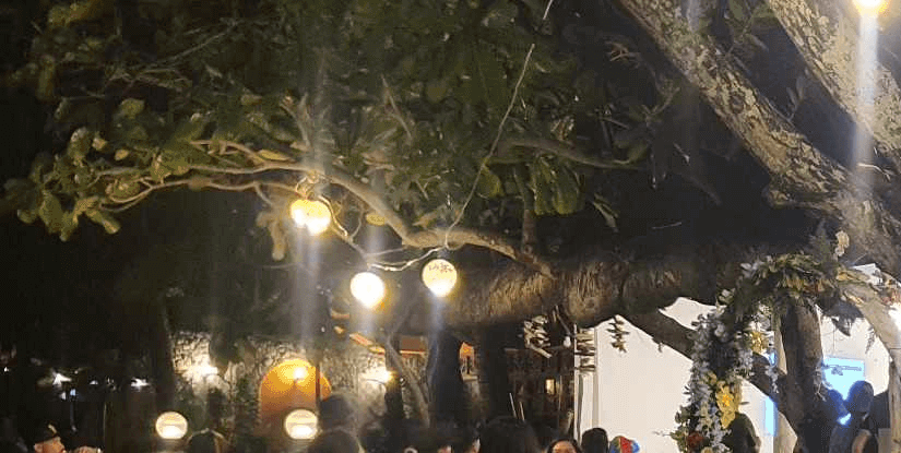 Evangeline Beach Resort